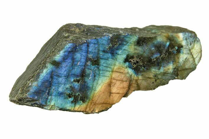 Single Side Polished Labradorite Slab - Madagascar #278199